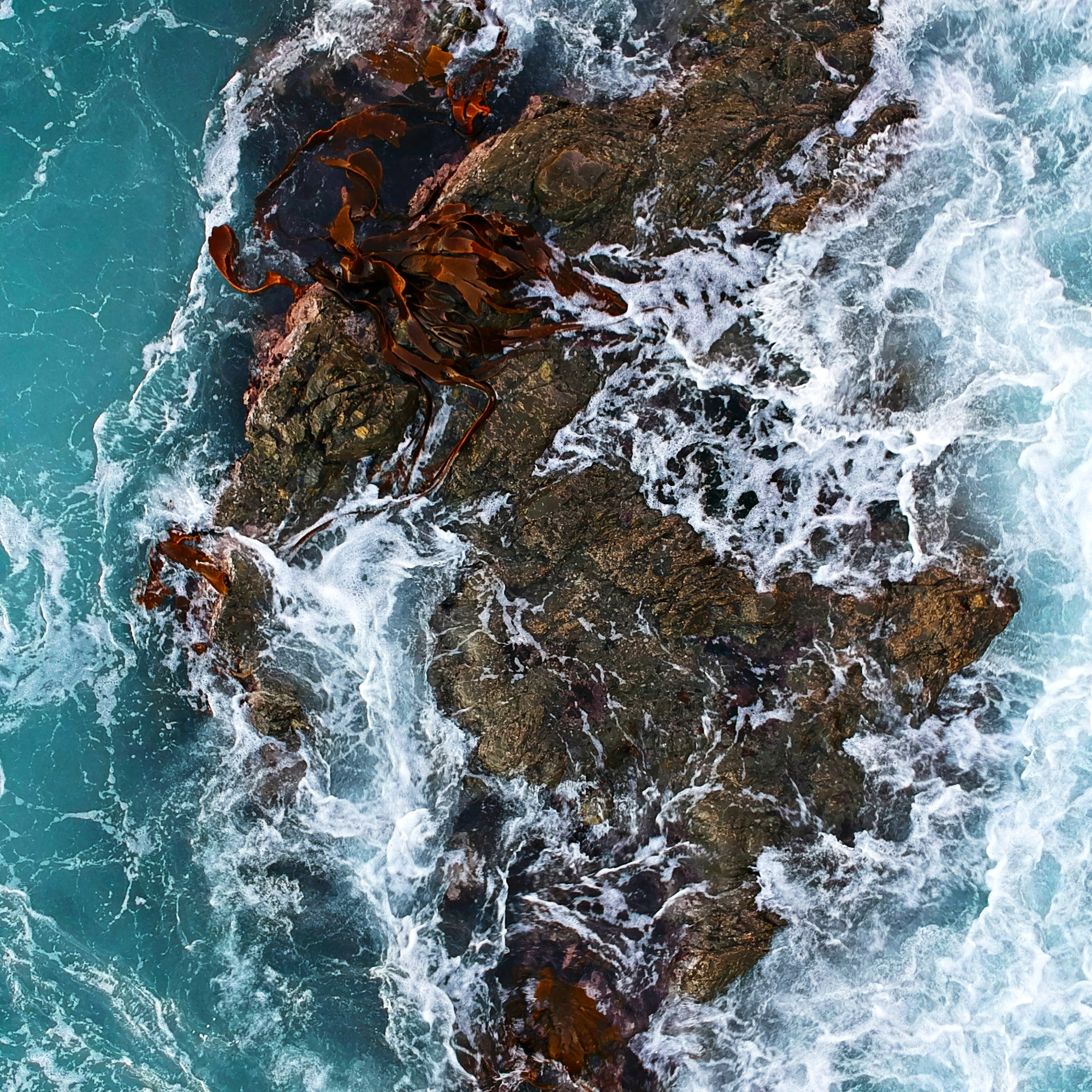 WHY THE OCEAN MAKES THE WORLD A BETTER PLACE